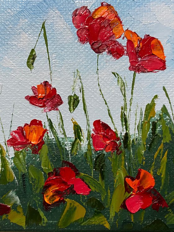 Poppies