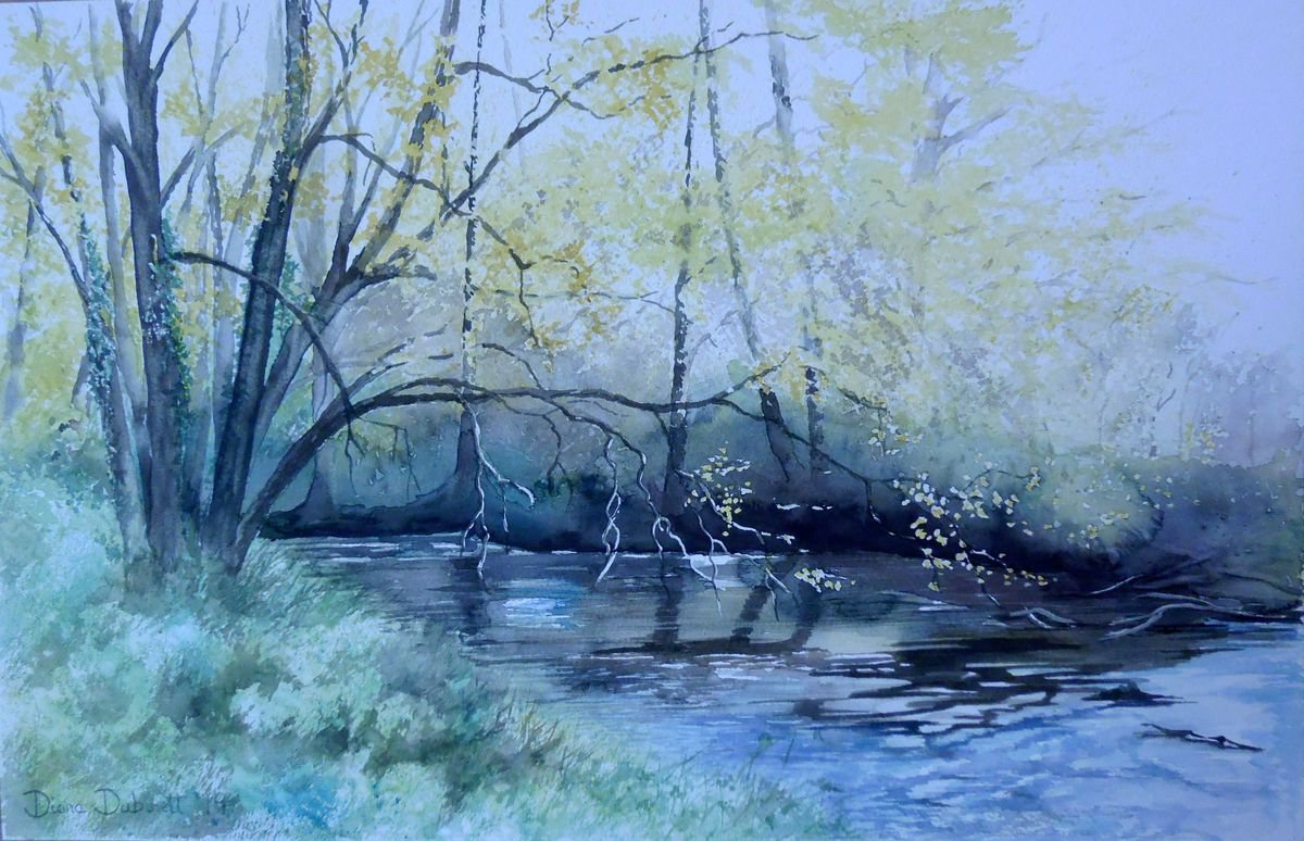 Still flows the River by Diana Dabinett