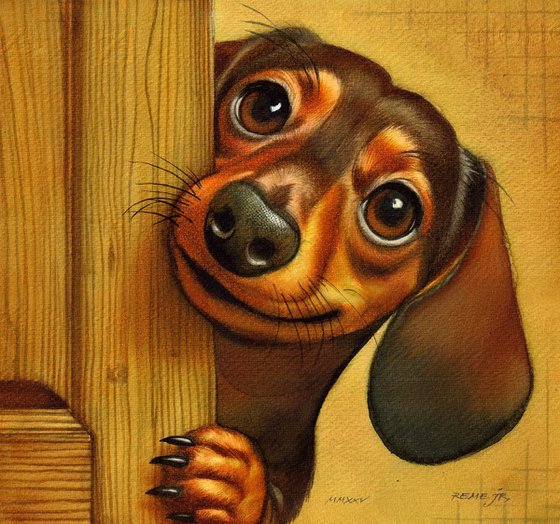 Dachshund V