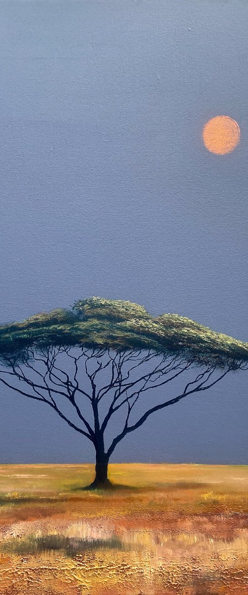 'Acacia Tree in a surreal landscape'. Oil Painting on canvas. by Simon Jones