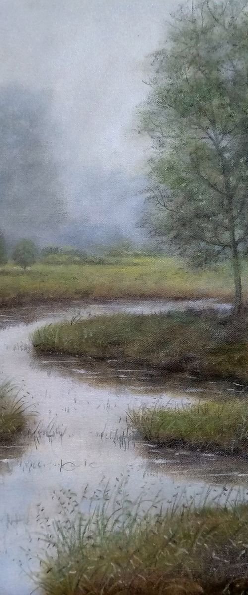 Foggy meadows by Vishalandra Dakur