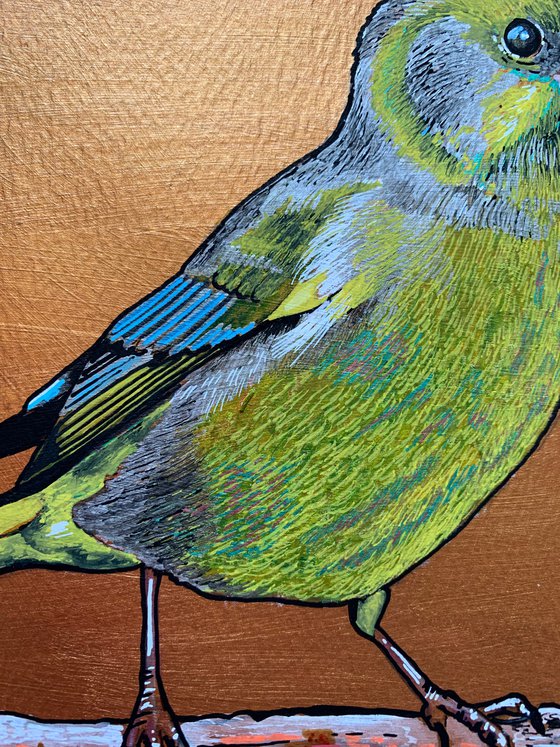 British Garden Birds series - Green finch