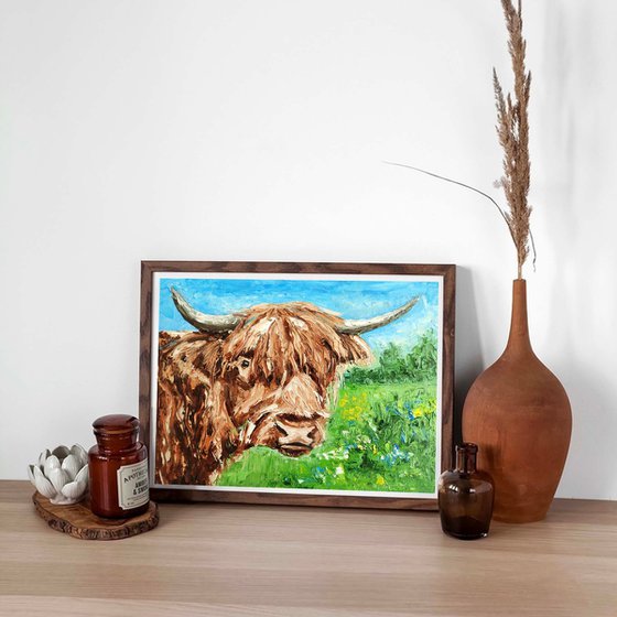 Highland Cow