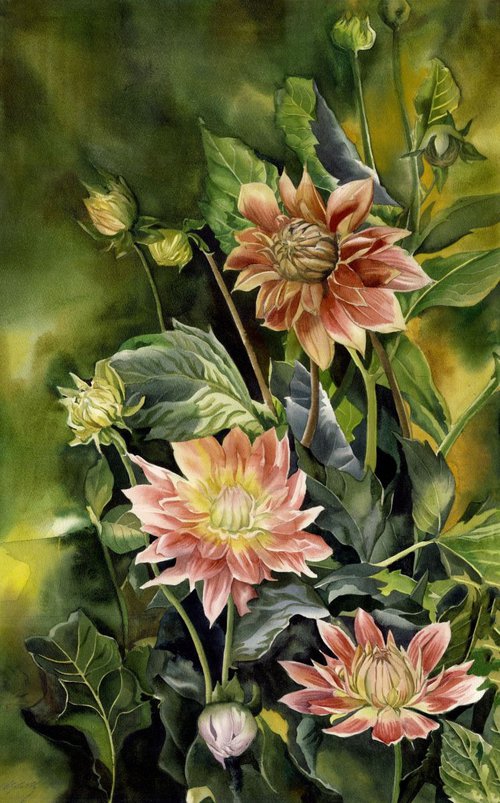 Dahlias in Autumn by Alfred  Ng
