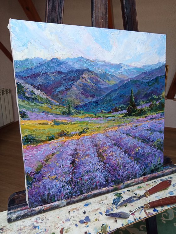 Lavender in the valley.