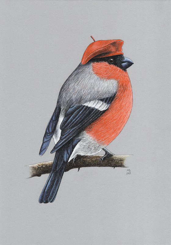 Original pastel drawing bird "Eurasian bullfinch"