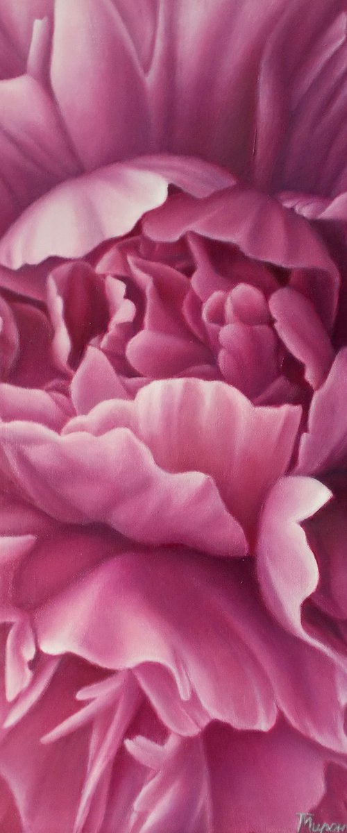 "Bloom", peonies painting by Tatyana Mironova