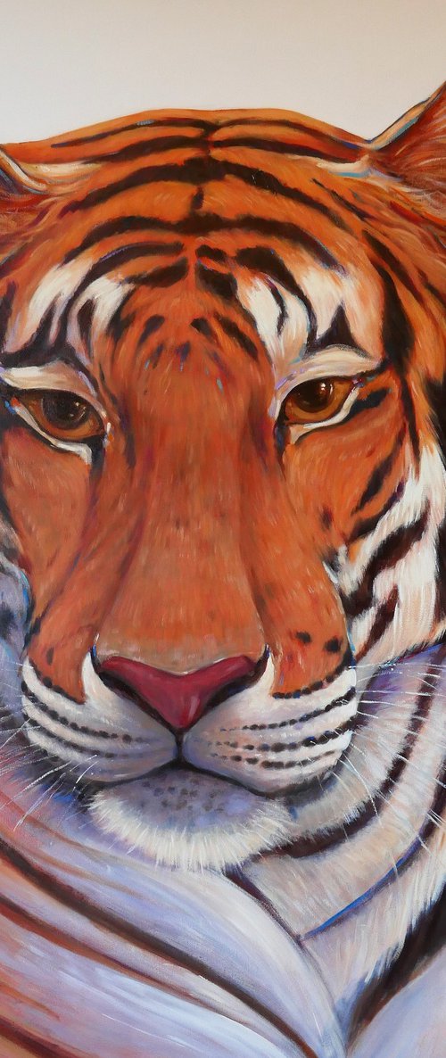 Tiger by Claudio Ciardi