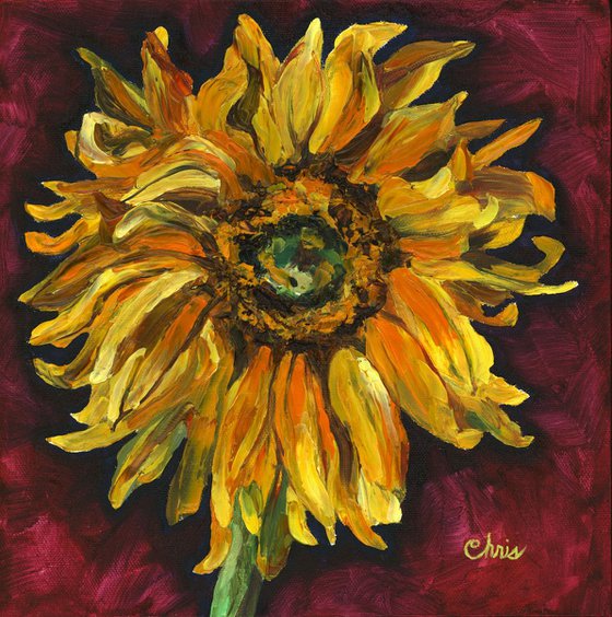 Sunflower on Red