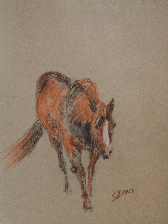 Horse