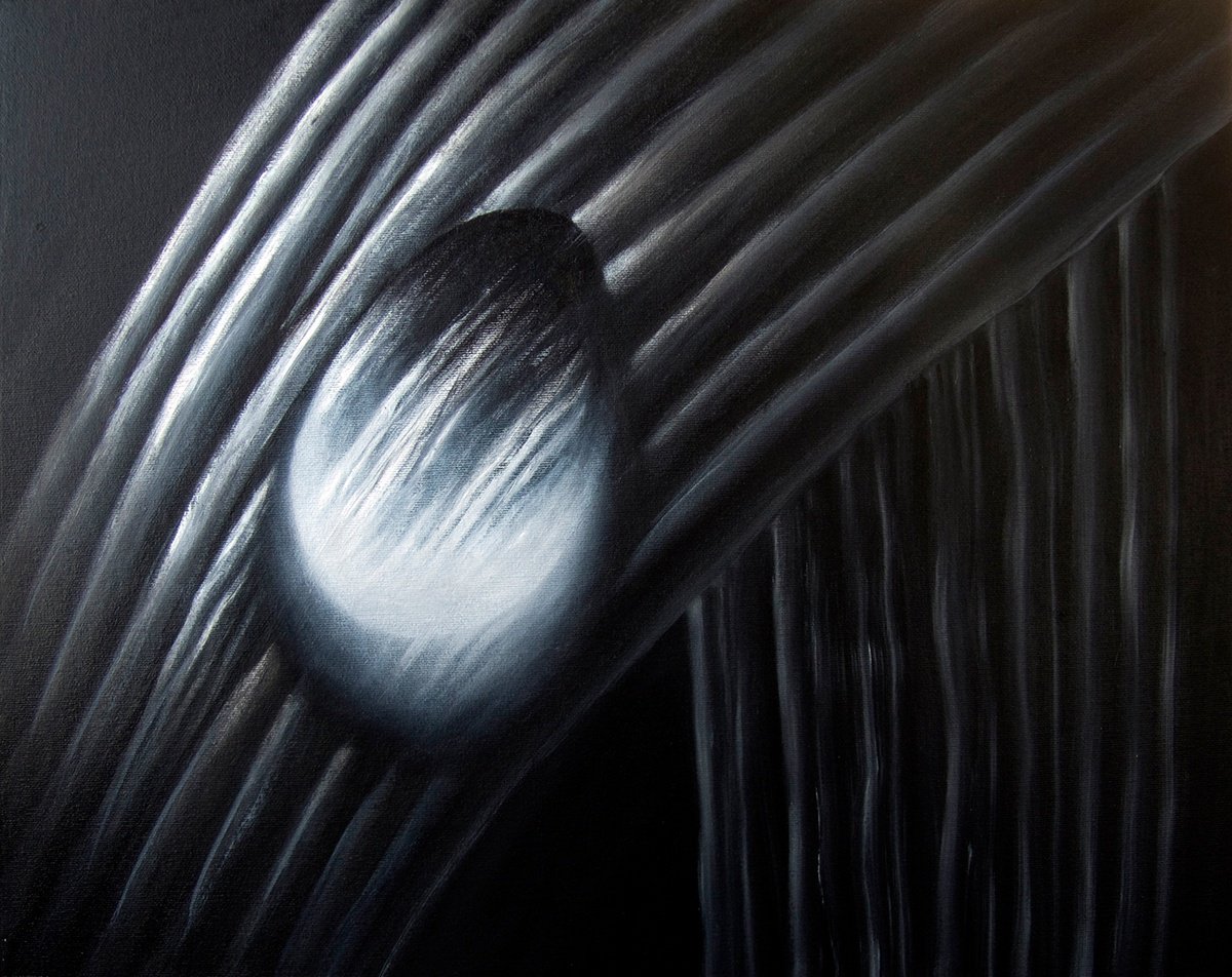 Photorealistic Botanical Oil Painting By Juan Bernal, 20 X 16", Black And White Droplet, Original Artwork