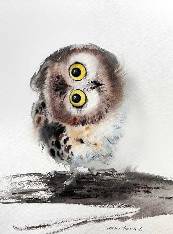 Little owl on a branch #12
