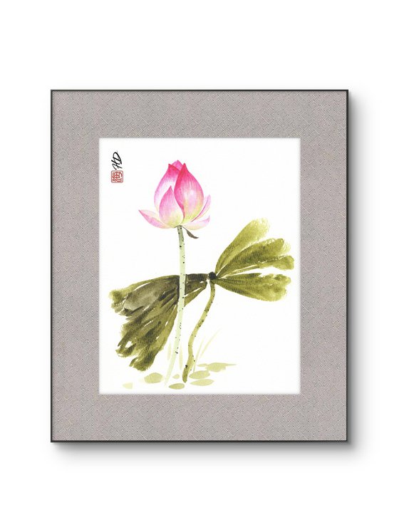 Lotus in Quiet Reflection