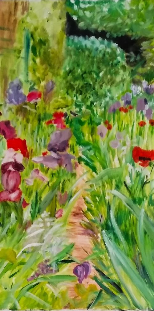 A path in the irises - flowers - garden by Isabelle Lucas