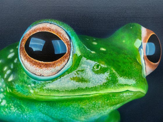 Green frog art, hyperrealism,  hyperrealistic artwork,  realism acrylic painting