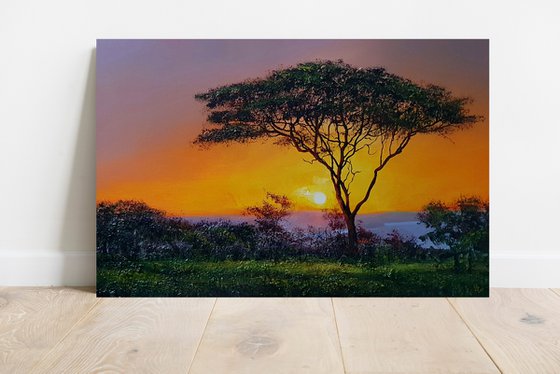 " Africa - Acacia tree " Special Price !!!