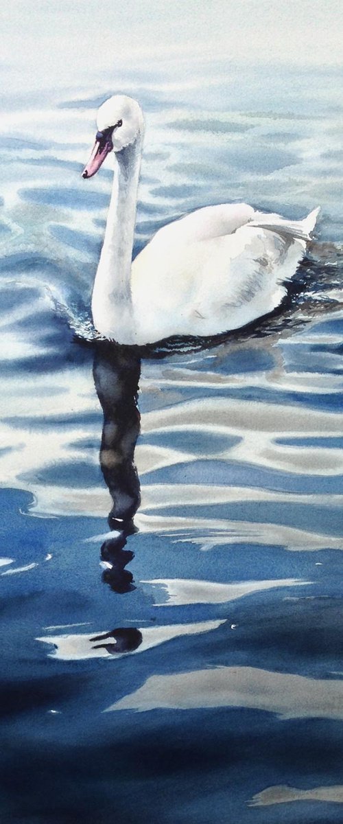 Swan by Svetlana Kilian