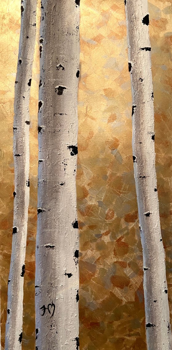 Textured birch trees