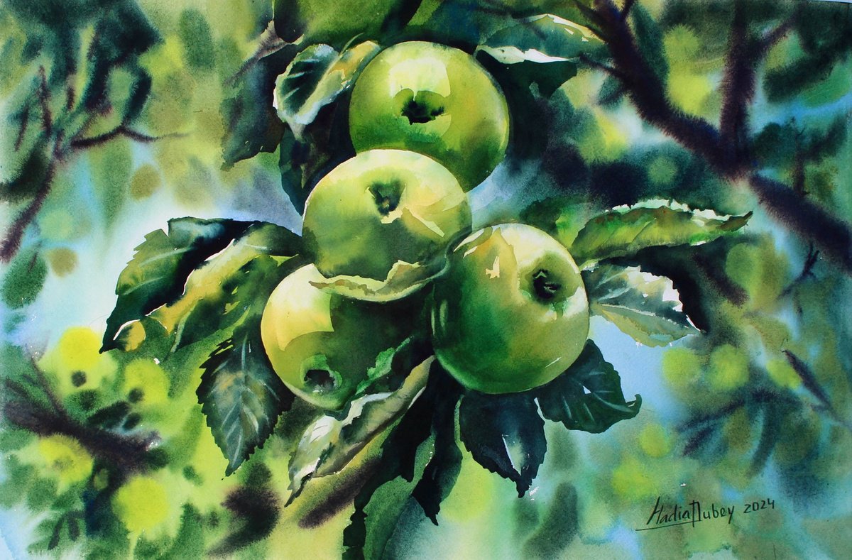 Impressionistic Still Life Watercolour By Nadiia Dubei, 22 X 15", Apples In The Sun, Original Artwork