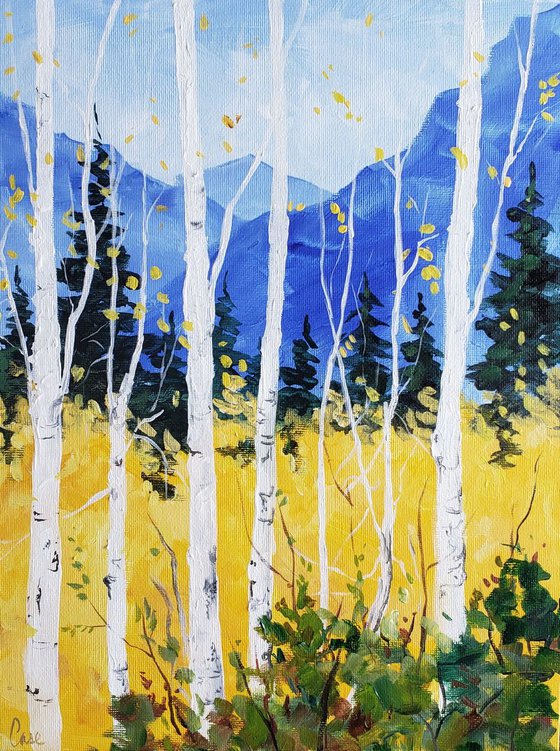 Aspen Saplings