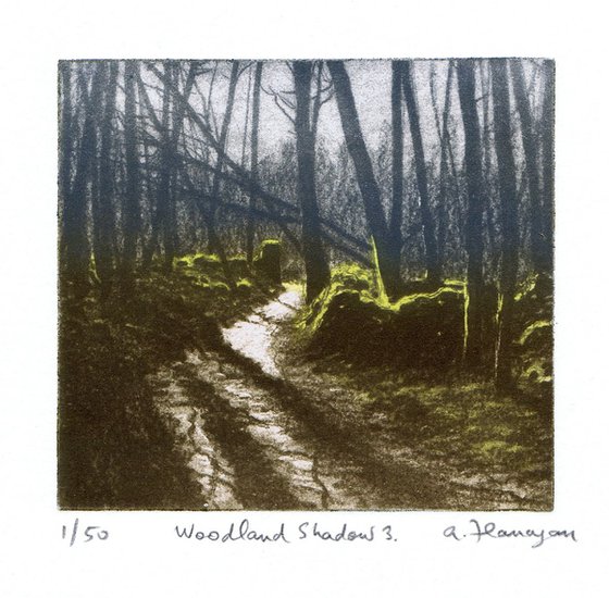 Woodland Shadow 3