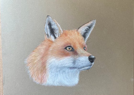 Fox