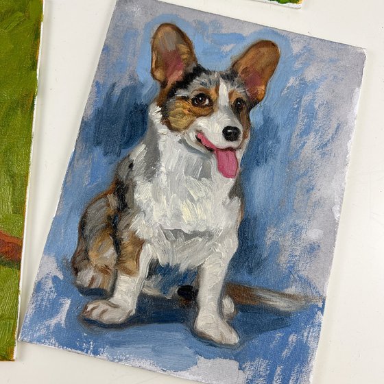 Cardigan corgi