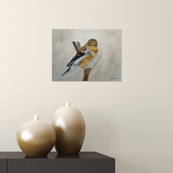 American Goldfinch Portrait