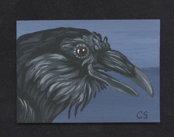 ACEO ATC Original Miniature Painting Raven Crow Bird Wildlife Art-Carla Smale