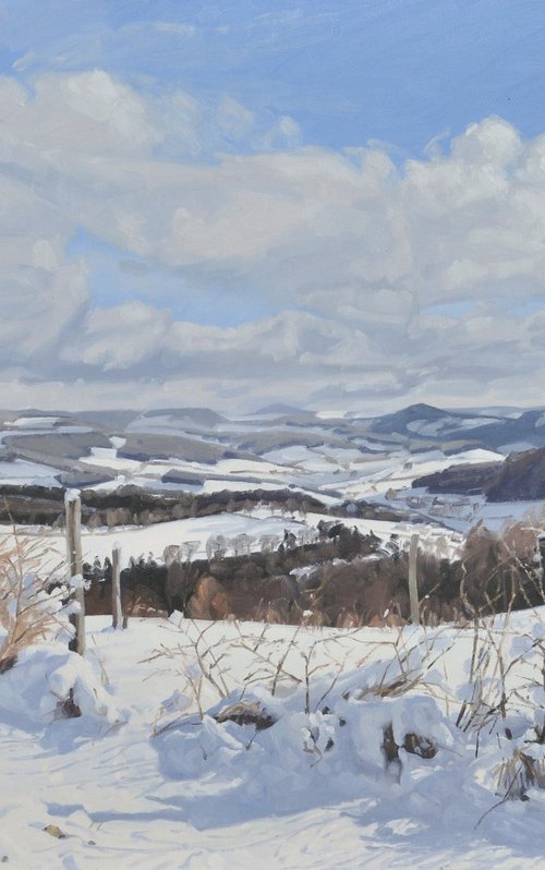 Path in the snow, Saint Julien du Pinet by ANNE BAUDEQUIN