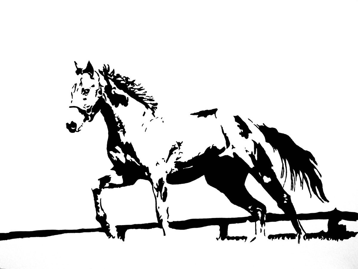 Photorealistic Drawing , Black And White 10-54 By Simona Tsvetkova, 24 X 18, Artwork For Sale On Artfinder