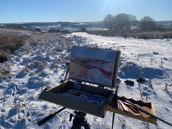 Winter Moor Danby