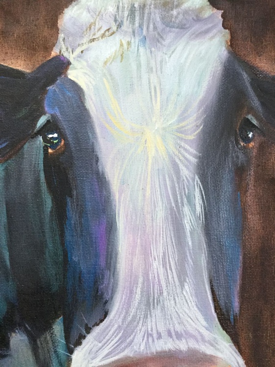 Cow Face 2017 Oil Painting By Gordon Bruce Artfinder
