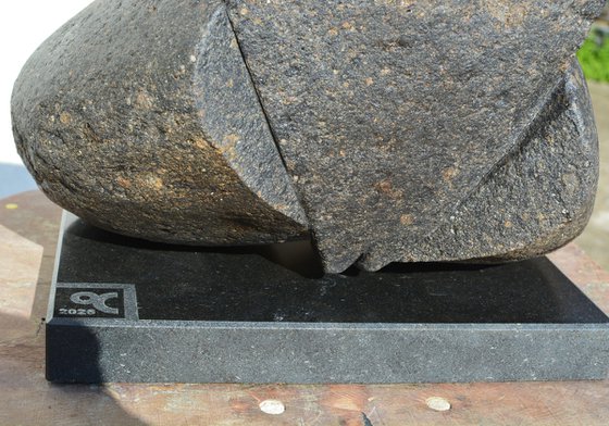 "Eka Pada Rajakapotasana"