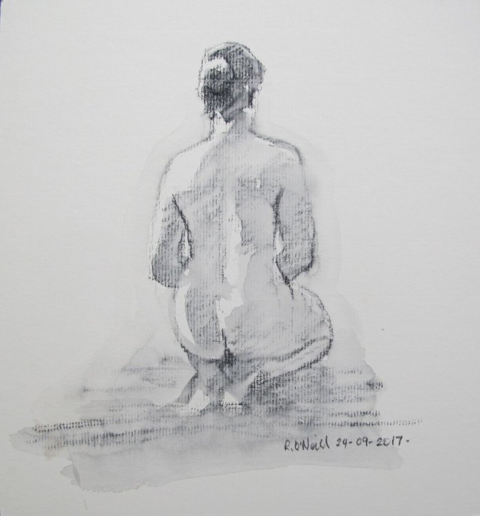 Seated Female Nude Back View By Rory O Neill Artfinder
