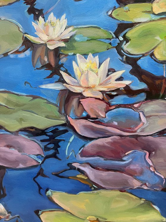 Sky lilies. Water lilies. Pond life 72.7cm/60.6 cm