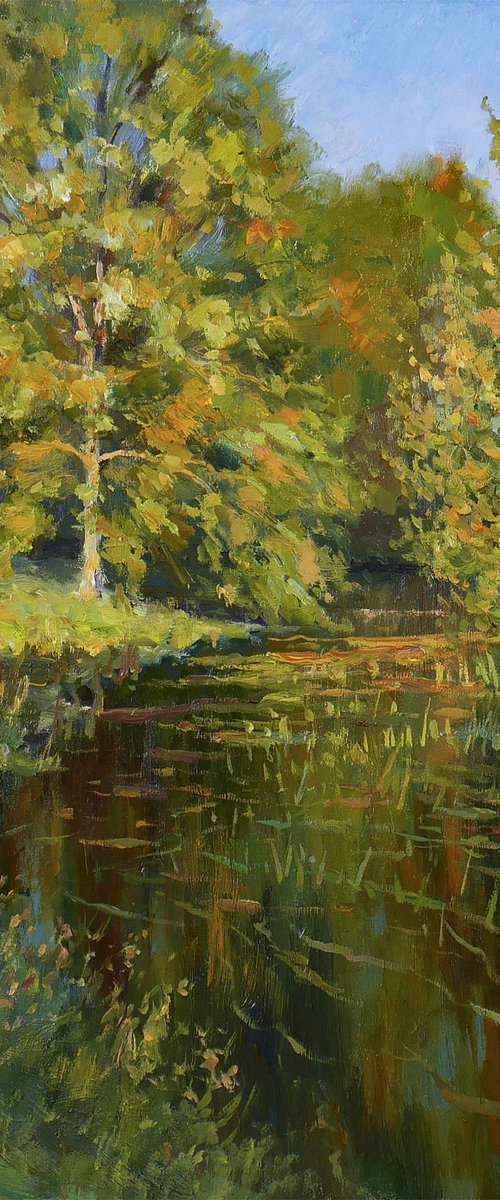 The Latest Touches Of The Sun by Nikolay Dmitriev