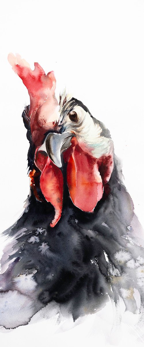 rooster by Andrzej Rabiega