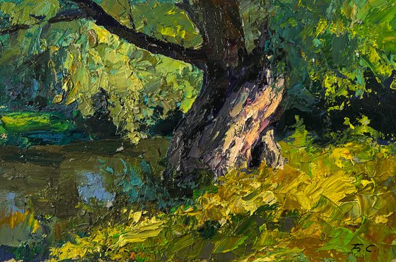 Tree near the River