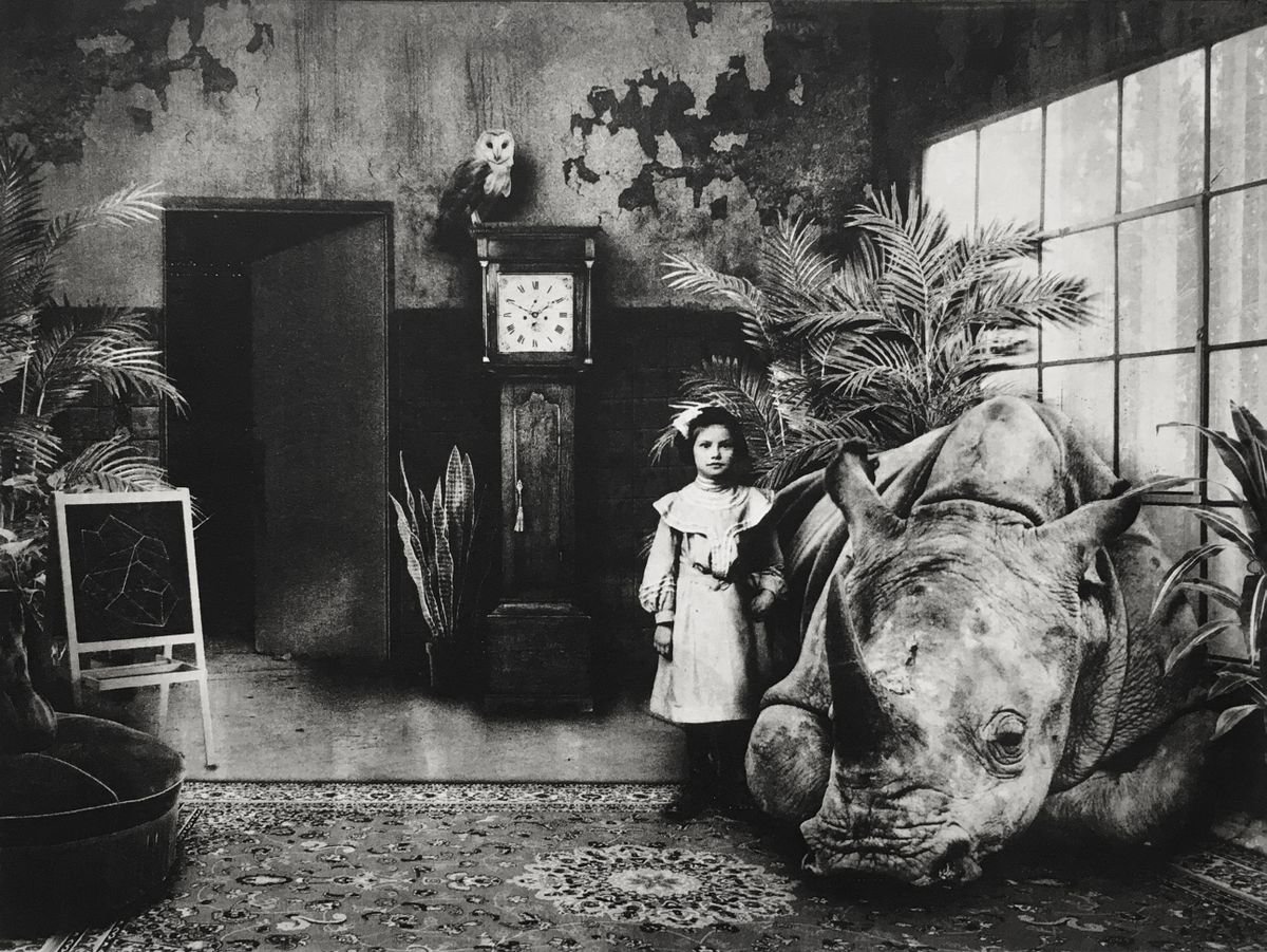 Animal Etchings & Engravings By Jaco Putker, 13 X 10, Interior No.37, Original Artwork