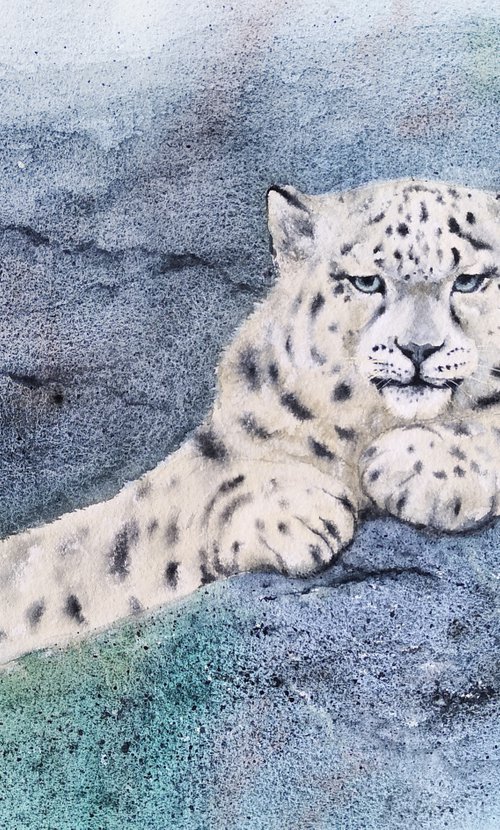 Snow leopard - King of the Mountain by Olga Beliaeva Watercolour