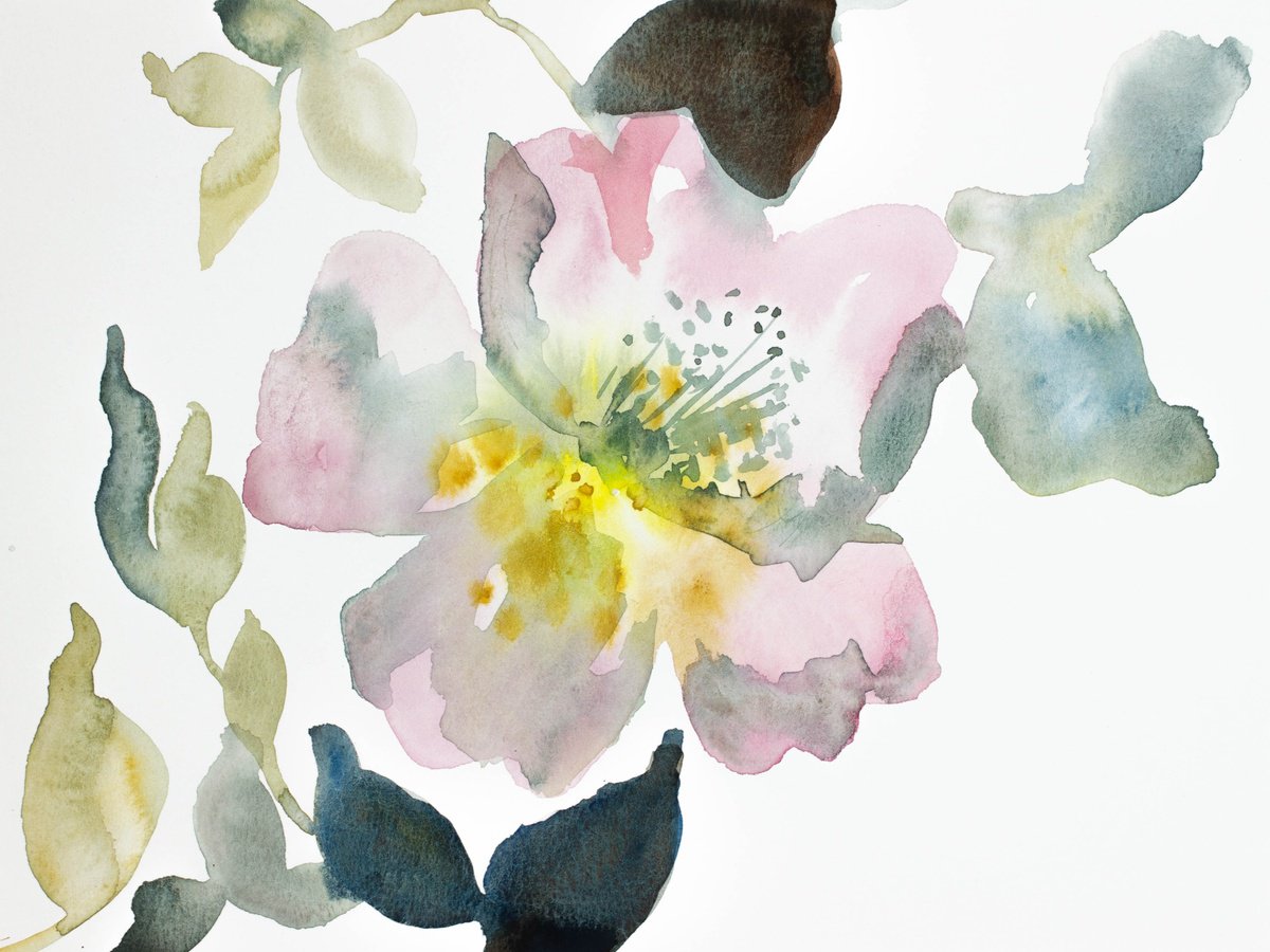 Wild Rose No. 8 by Elizabeth Becker