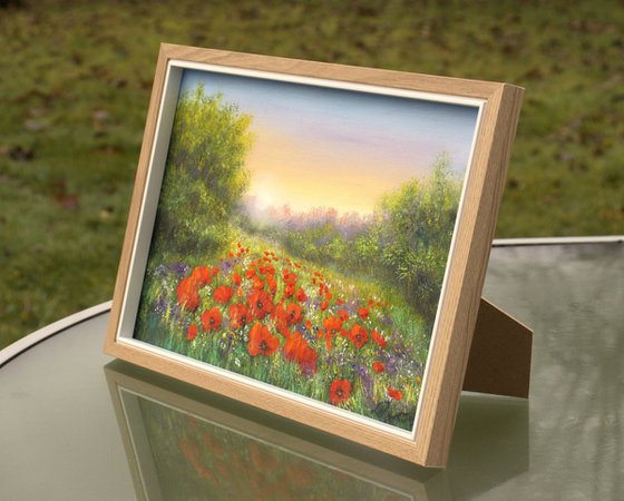 Sunset on the poppy field