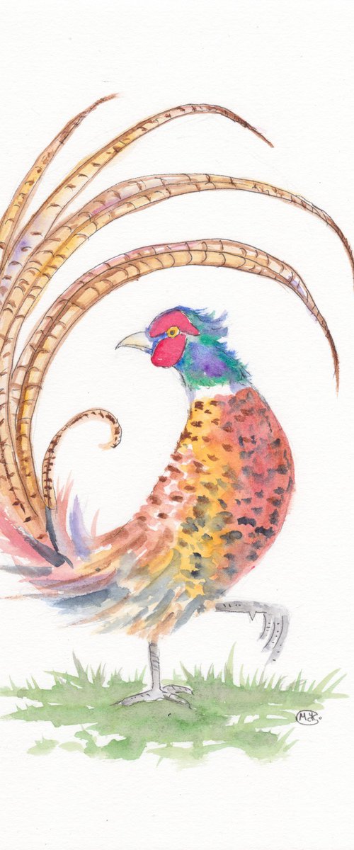 Pheasant by MARJANSART
