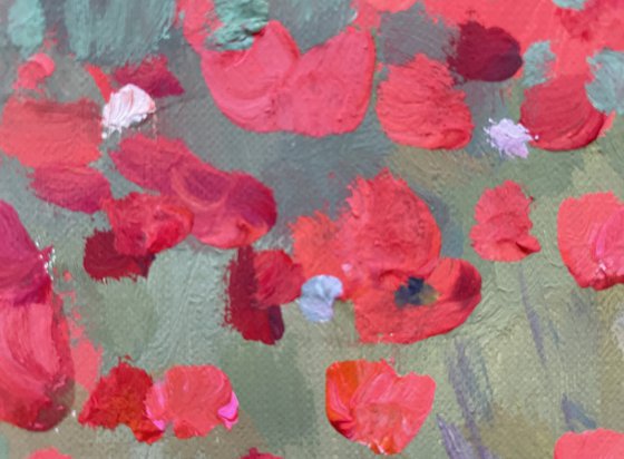Poppy carpet