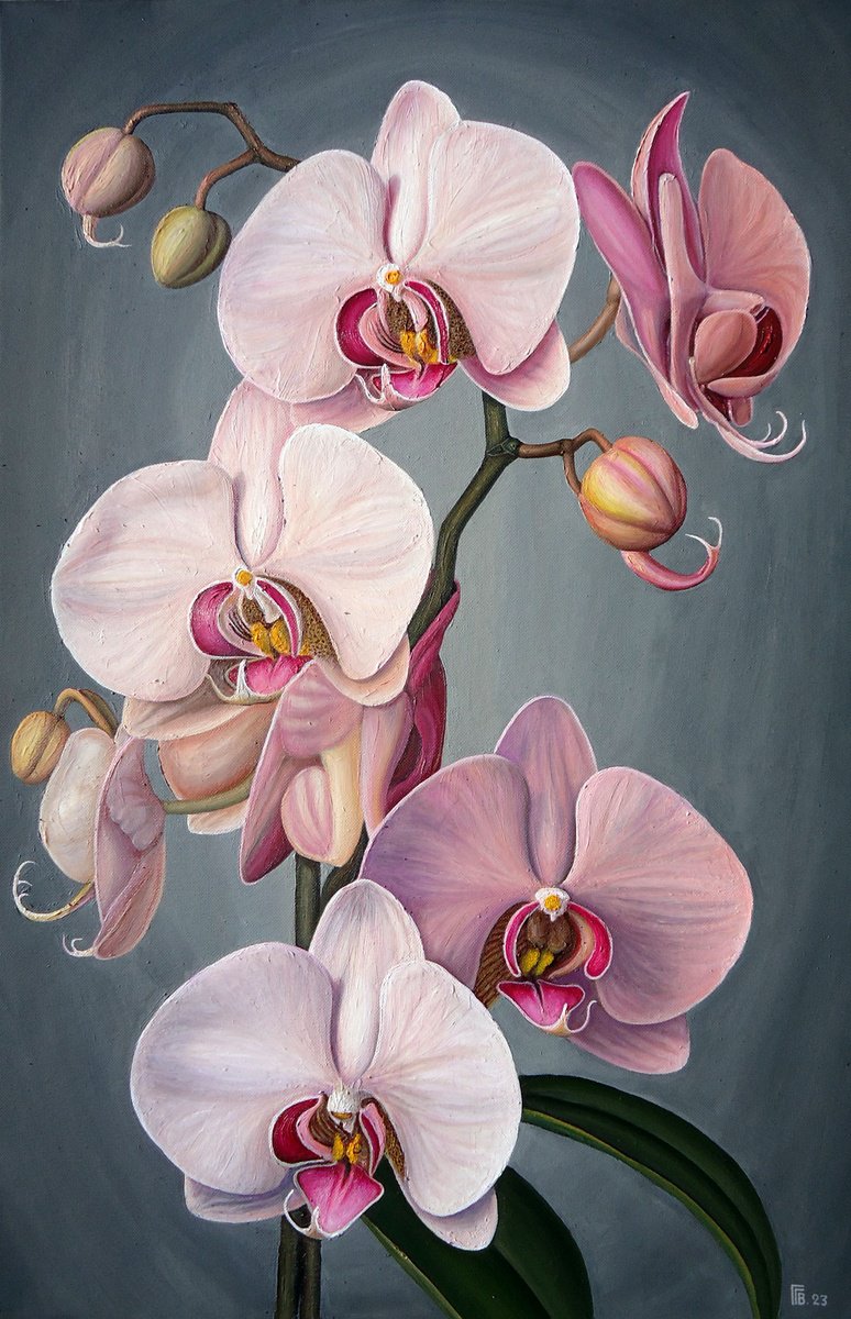 Orchid Oil painting by Grigor Velev Artfinder