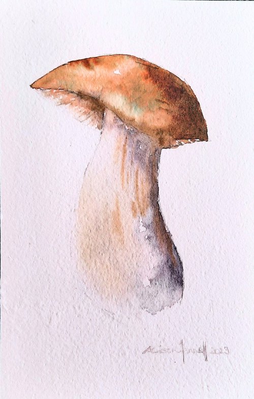 Mushroom Magic - Original Maushroom Watercolour - UK Artist by Alison Fennell