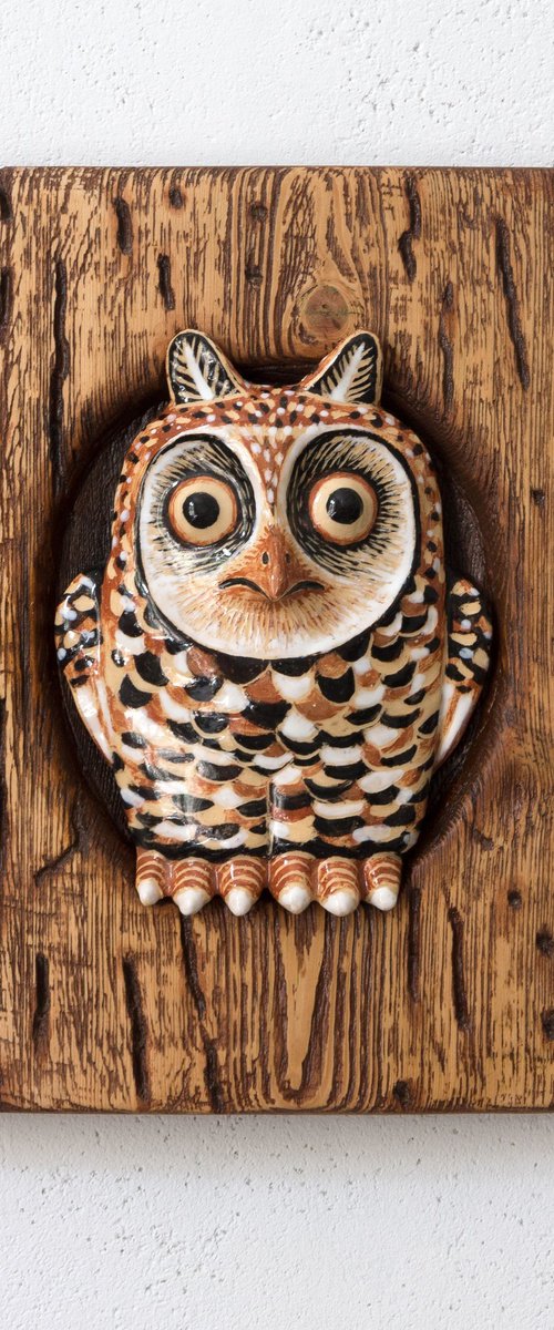 Owl by Oleksandr Korol