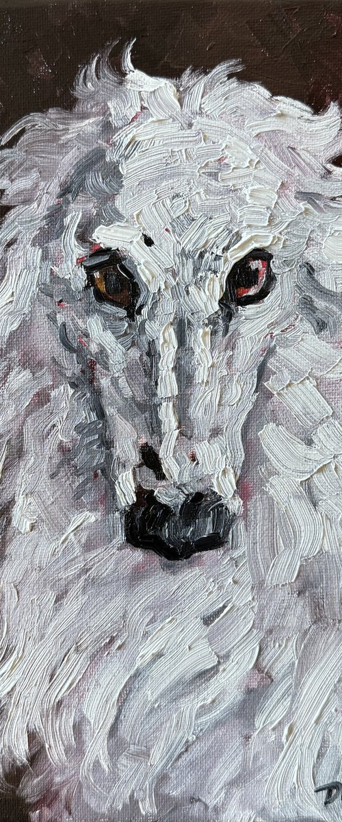 White greyhound by Ekaterina Dutkevich