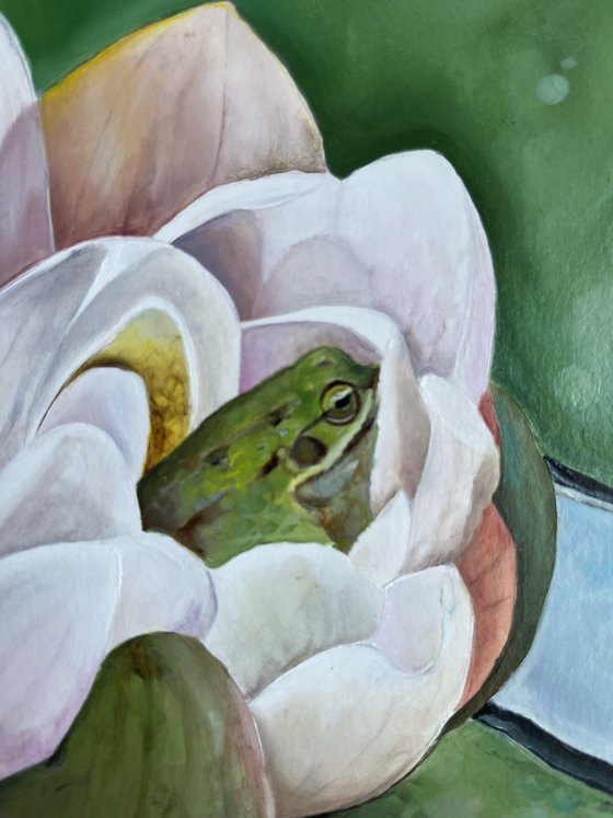 Frog and lotus